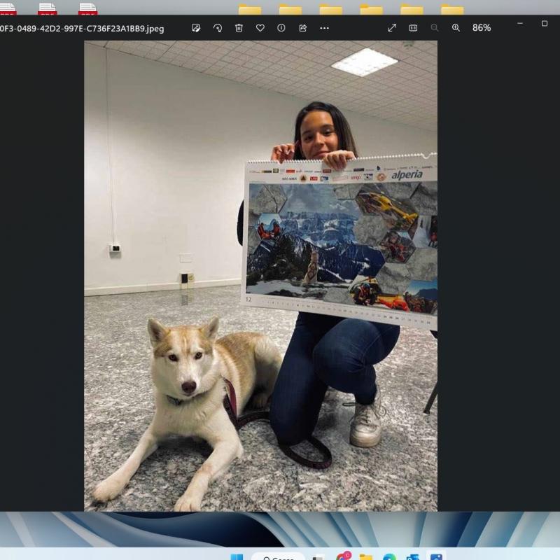 La nostra studentessa Selina Jenegger con la sua cagnolina Malia è stata premiata al concorso fotografico per la creazione del calendario 2023 organizzato dal Soccorso Alpino dell’Alto Adige. Una foto incantevole che rappresenterà il mese di dicembre 2023. COMPLIMENTI a Selina e a Malia.
